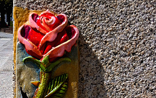 Czy tajemnicze czerwone róże to kolejny rodzaj happeningu? Czy tajemnicze czerwone róże to kolejny rodzaj happeningu?